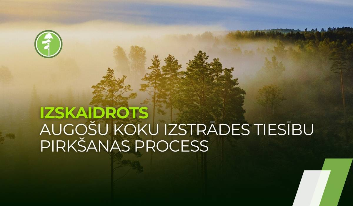 Izstrādāts augošu koku izstrādes tiesību pirkšanas process Izstrādāts augošu koku izstrādes tiesību pirkšanas process