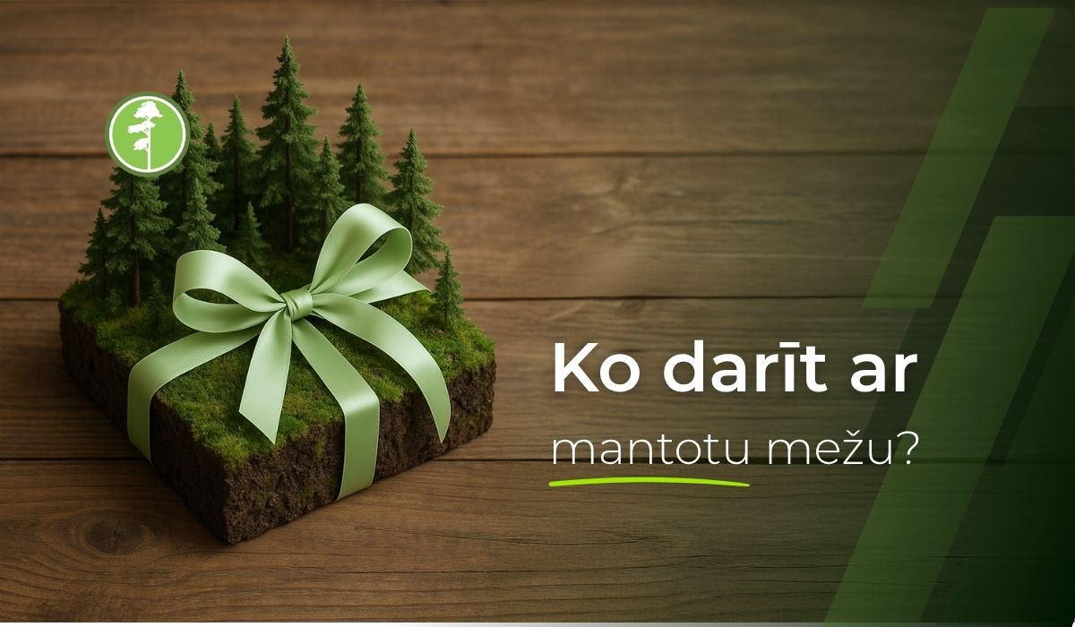 ko darīt ar mantotu mežu - priedes ag ko darīt ar mantotu mežu - priedes ag