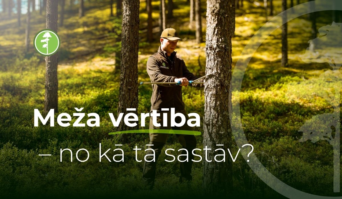 Kā veidojas meža īpašuma vērtība Kā veidojas meža īpašuma vērtība