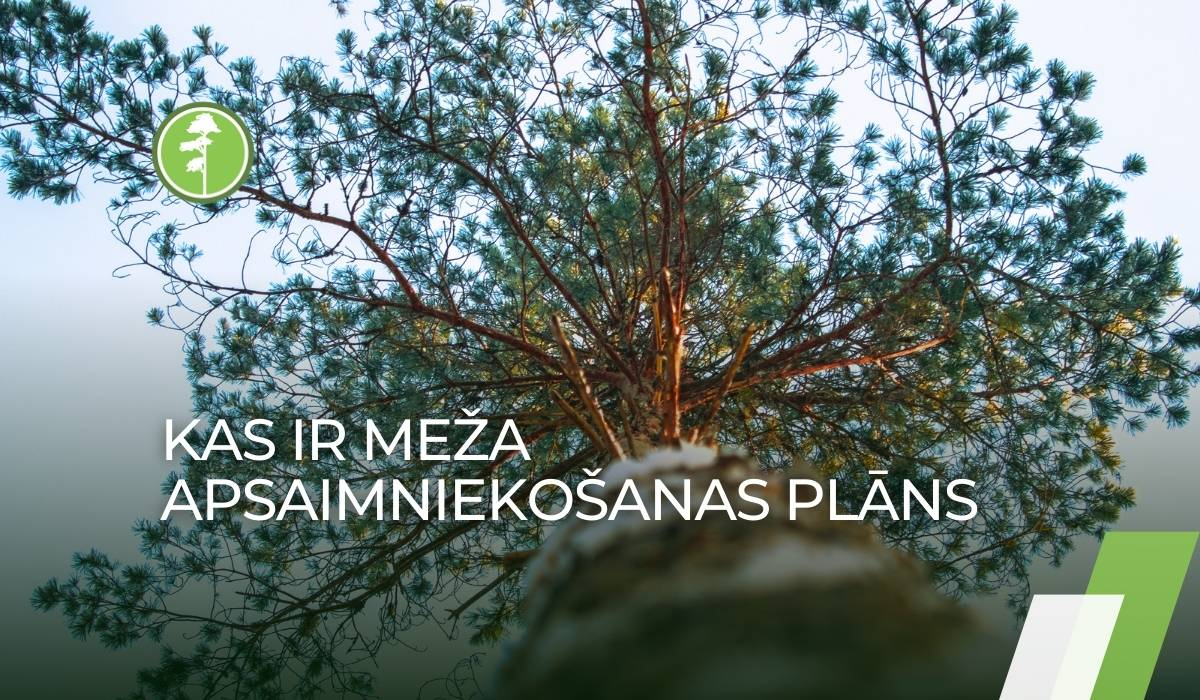 Kas ir meža apsaimniekošanas plāns, priedes ag Kas ir meža apsaimniekošanas plāns, priedes ag