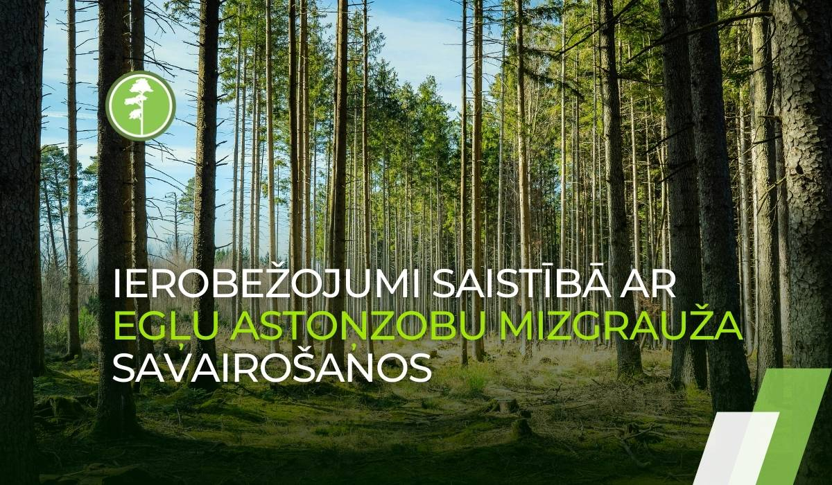 Egļu astoņzobu mizgrauža savairošanās ierobežojumi Egļu astoņzobu mizgrauža savairošanās ierobežojumi